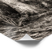 Alte Florida-Eichenhammock-Graphit-Skizze | Rockle Poster (Ecke)