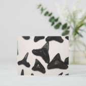 Alte Florida Shark Teeth Jaw Fossilien Postkarte (Stehend Vorderseite)