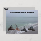 Alte Fossilisierte Hai Teeth Florida Beach Schätze Postkarte (Vorne/Hinten)