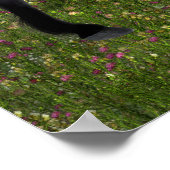 'Alte Freunde' - Elf & Black Horse Print/Poster Poster (Ecke)