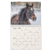 Alte Freunde in Cabin Creek 2022 Kalender (Jan 2026)