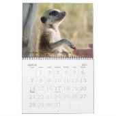 Alte Freunde, neue Freunde - FKMP Kalender 2011 (Mär 2027)