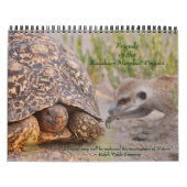 Alte Freunde, neue Freunde - FKMP Kalender 2011 (Titelbild)