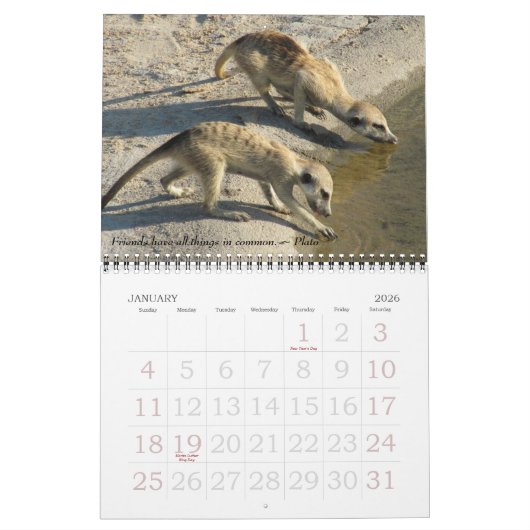 Alte Freunde, neue Freunde - FKMP Kalender 2011 (Jan 2026)