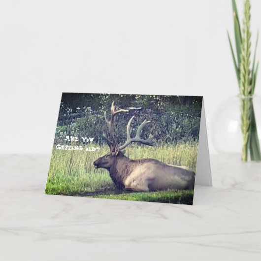 "Alte" Geburtstags-Karte erhalten Karte (Vorderseite)