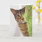Alte Geburtstagskatze Karte (Gelbe Blume)