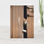 Alte Geburtstagskatze Karte (Vorderseite)