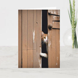 Alte Geburtstagskatze Karte