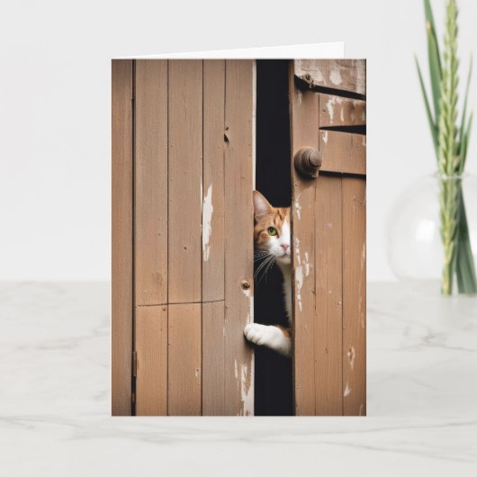 Alte Geburtstagskatze Karte (Vorderseite)