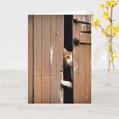 Alte Geburtstagskatze Karte (Gelbe Blume)