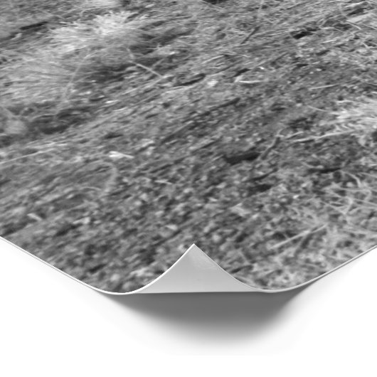 Alte Gefängniszelle Poster (Ecke)