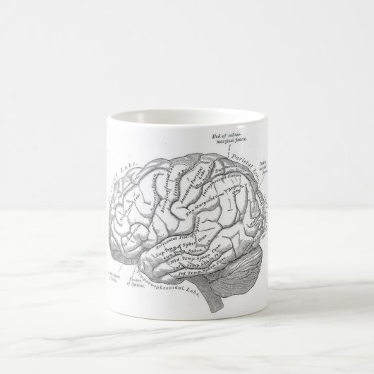 Alte Gehirn Anatomie Kaffeetasse (Mittel)