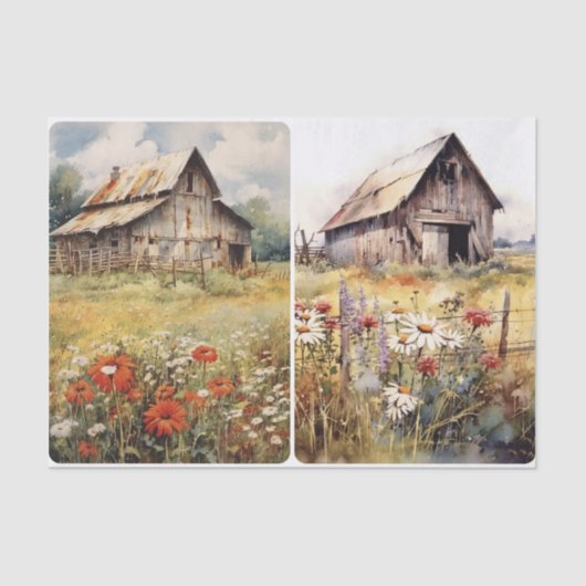 Alte, gequälte Barns Seidenpapier (Vorderseite)