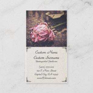 Alte getrocknete Vintage rosa Rosengeschäftskarte Visitenkarte