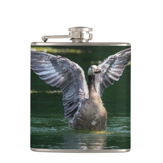Alte Goose Wing Action Flachmann (Vorderseite)