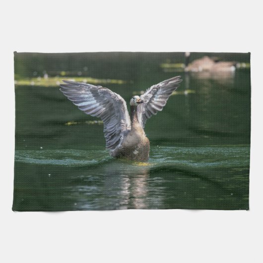 Alte Goose Wing Action Geschirrtuch (Horizontal)