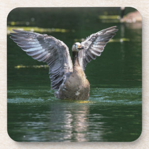 Alte Goose Wing Action Getränkeuntersetzer