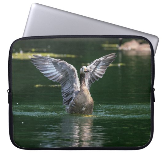 Alte Goose Wing Action Laptopschutzhülle (Vorderseite)