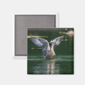 Alte Goose Wing Action Magnet (Vorderseite/Rückseite)