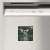 Alte Goose Wing Action Magnet (In Situ (Geschirrspüler))
