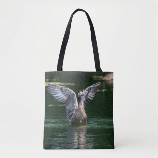 Alte Goose Wing Action Tasche (Vorderseite)