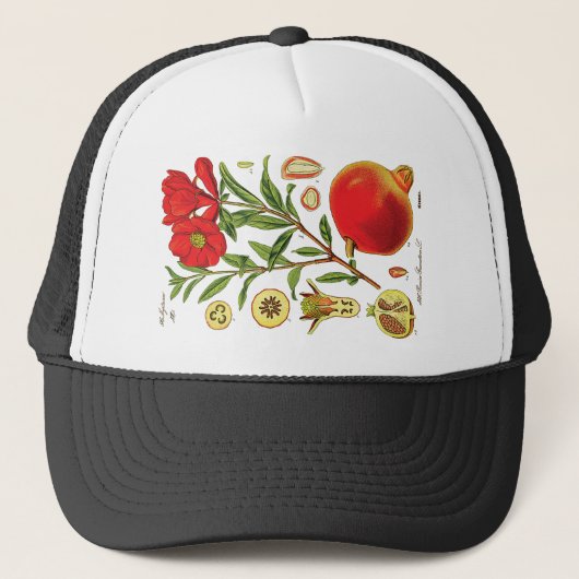 Alte Granatapfel-Illustration Truckerkappe (Vorderseite)
