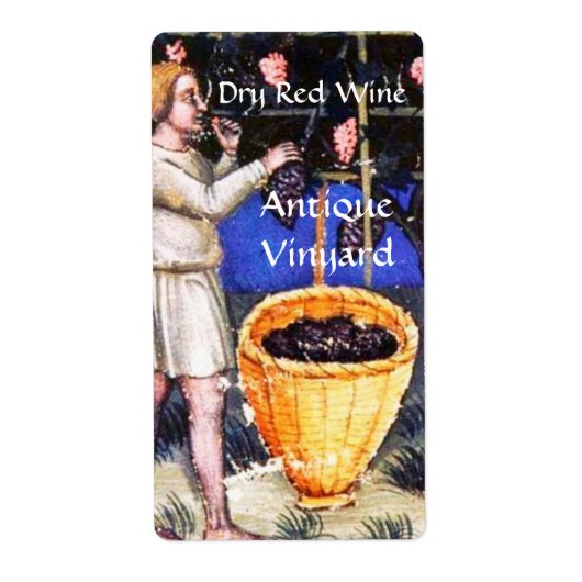 ALTE GRAPE VINEYARD HARVEST (Vorne)