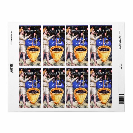 ALTE GRAPE VINEYARD HARVEST (Vorne)