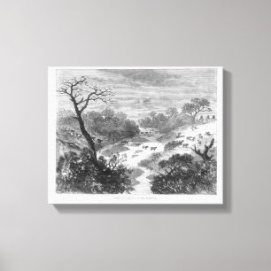 Alte Gravur - Landschaft mit Rindern Leinwanddruck