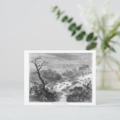 Alte Gravur - Landschaft mit Rindern Postkarte (Stehend Vorderseite)