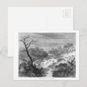 Alte Gravur - Landschaft mit Rindern Postkarte (Vorne/Hinten)