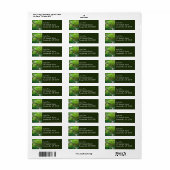 Alte Groves Lodge im Olympischen Nationalpark (Vorne)