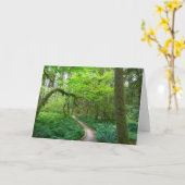 Alte Groves Lodge im Olympischen Nationalpark Karte (Gelbe Blume)