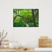 Alte Groves Lodge im Olympischen Nationalpark Poster (Küche)