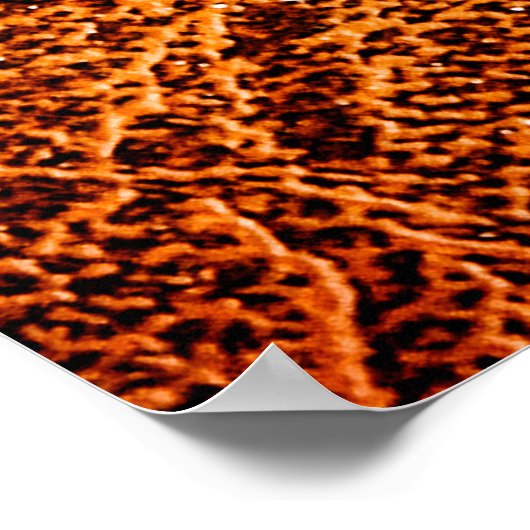 Alte grunbraune Lederstruktur Poster (Ecke)