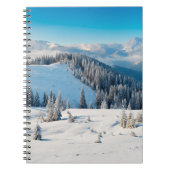 Alte grunge Holzstruktur oder Hintergrund mit Term Notizblock (Vorderseite)