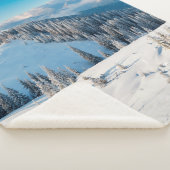 Alte grunge Holzstruktur oder Hintergrund mit Term Sherpadecke (3/4)