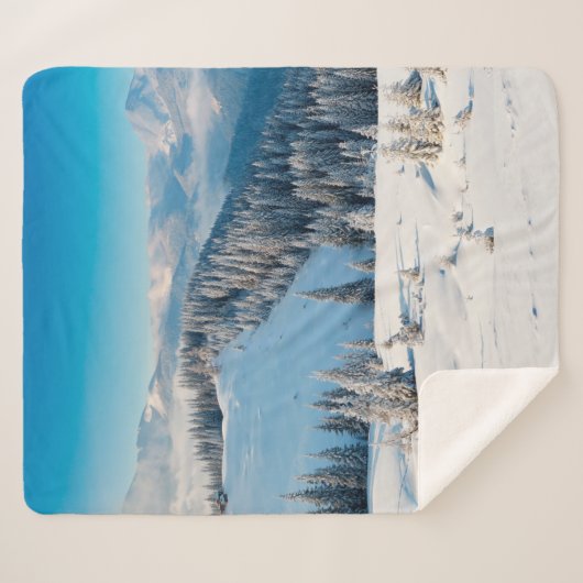 Alte grunge Holzstruktur oder Hintergrund mit Term Sherpadecke (Vorderseite (Horizontal))