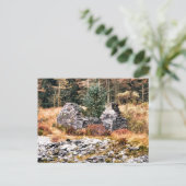 ALTE GUSH-HÜTTE POSTKARTE (Stehend Vorderseite)