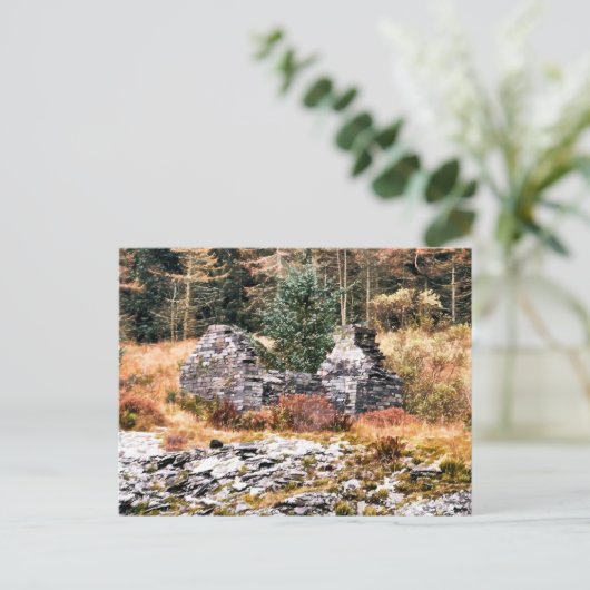 ALTE GUSH-HÜTTE POSTKARTE (Stehend Vorderseite)