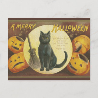 Alte Halloween-Postkarte mit Kürbissen und Katze Feiertagspostkarte