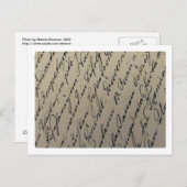 Alte Handschrift Postkarte (Vorne/Hinten)