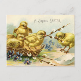 Alte Happy Oaster Chicks Eierschlüpfen Feiertagspostkarte