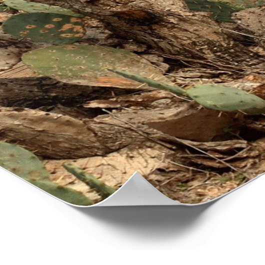 alte Hausfrau Poster (Ecke)