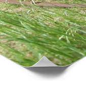 Alte Heuschrecke 2 Poster (Ecke)