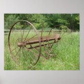 Alte Heuschrecke 2 Poster (Vorne)