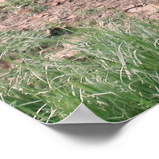 Alte Heuschrecke 3 Poster (Ecke)