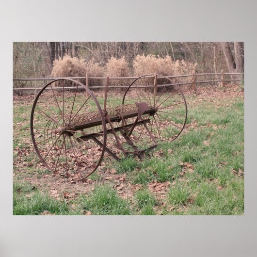 Alte Heuschrecke 3 Poster (Vorne)