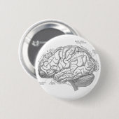 Alte Hirnanatomie Button (Vorne & Hinten)
