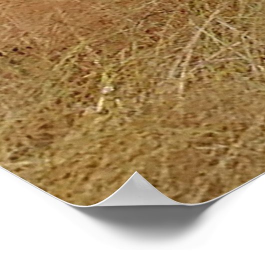 Alte historische Zuhause Poster (Ecke)